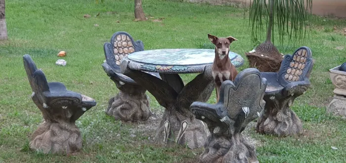 Mesa de concreto 