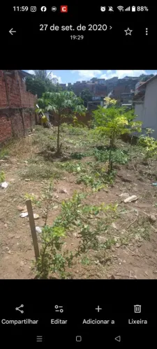 Terreno 20/7