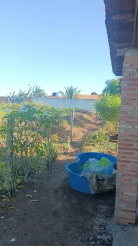 Vende-se uma casa com fruteiras colocando.