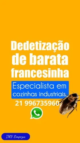 *Dedetização *Descupinização *Desratização