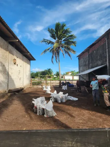 Sacos de adubo para agricultura