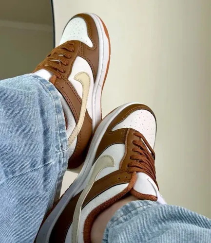 Tênis Nike Dunk Low Retro Marrom