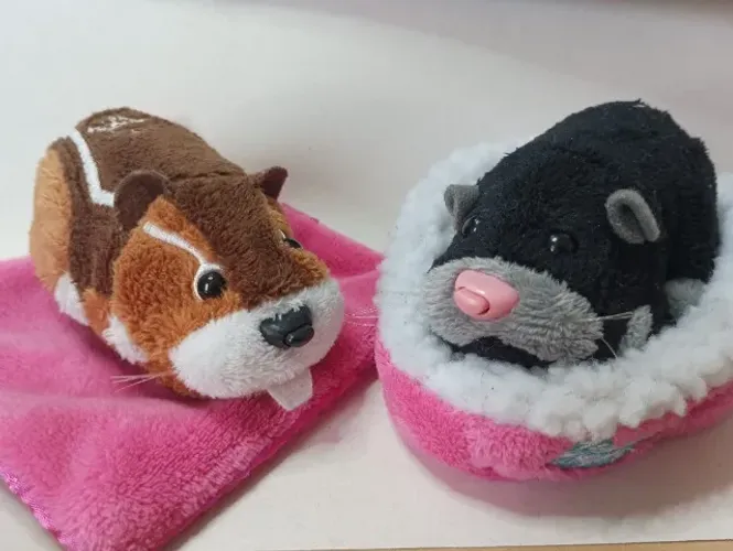 Par de ZhuZhu pets com caminhas