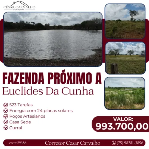FAZENDA PRÓXIMO A EUCLIDES DA CUNHA - 523 TAREFAS