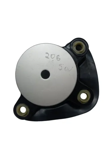 Moldura Tampa Tanque Combustivel Peugeot 206 Sw 1.4 2003 04