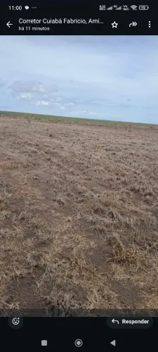 Fazenda de CARBONO na Amazônia 227 mil hec, R$:181.600.000.00