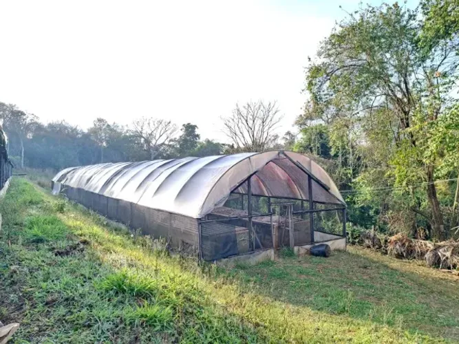 ESTUFA AGRÍCOLA USADA 400m²