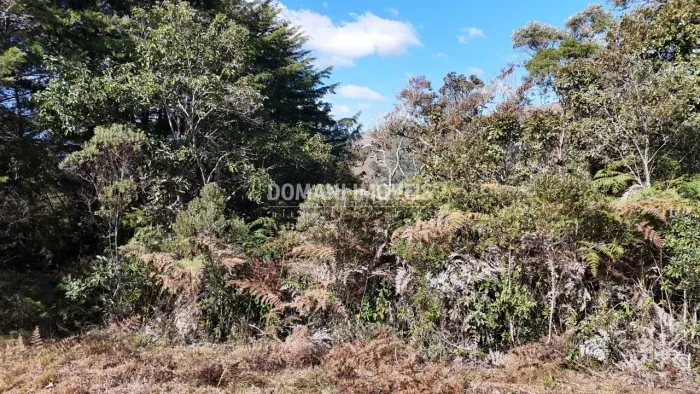 Oportunidade de Lote de Terreno à Venda na Região do Imbiri - Campos do Jordão/SP