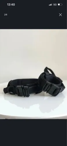 Coleira para cachorro