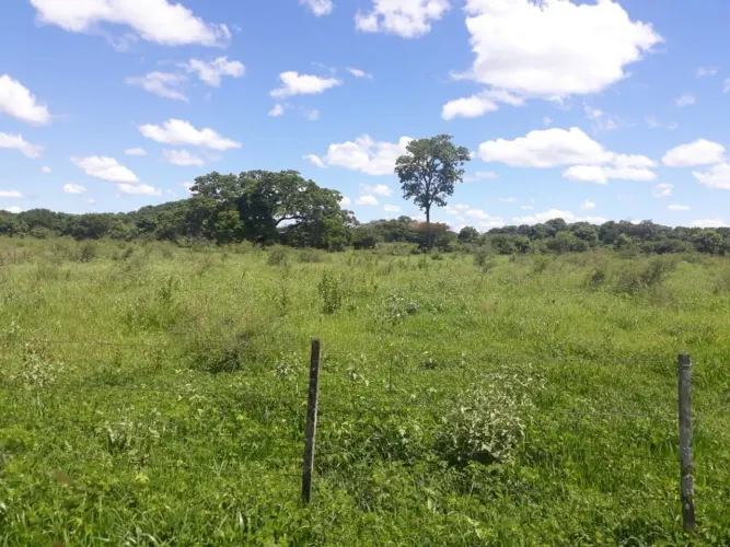 Vendo Fazenda de 128 Alqueires Região Goiás... 