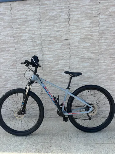 BIKE AUDAX ARO 29