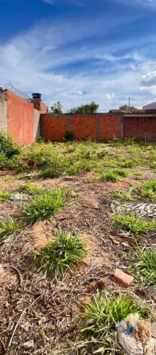 Lote 220 m²...10x22 Bairro Planalto ..