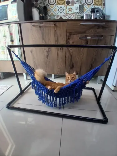Rede para gatos 