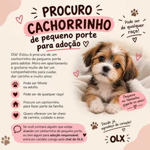 Procuro cachorro de pequeno porte para adoção 