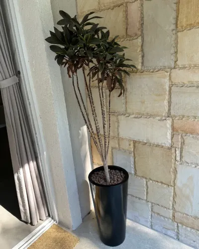 Planta em Vaso Preto Alto (Externa)