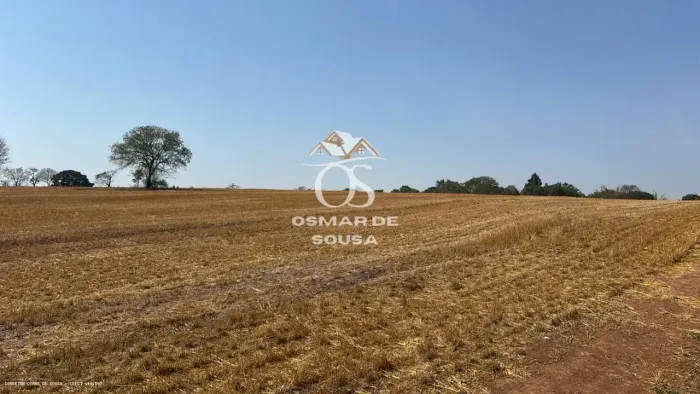Sítio de 3 Alqueires em Cesário Lange - SP, ótimo para plantação, terra vermelha