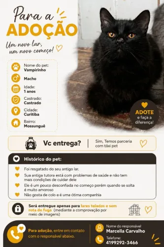 Doação responsável