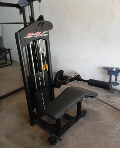 Mesa flexora 