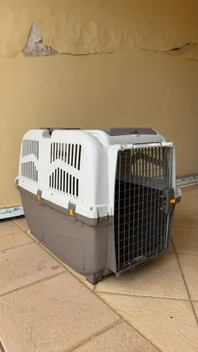 Caixa de Transporte para Pet Skudo 5