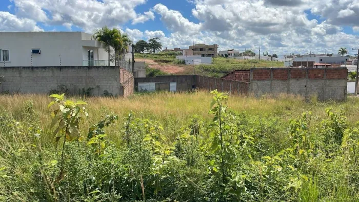 Repasso Terreno no Luar de Lagarto 1