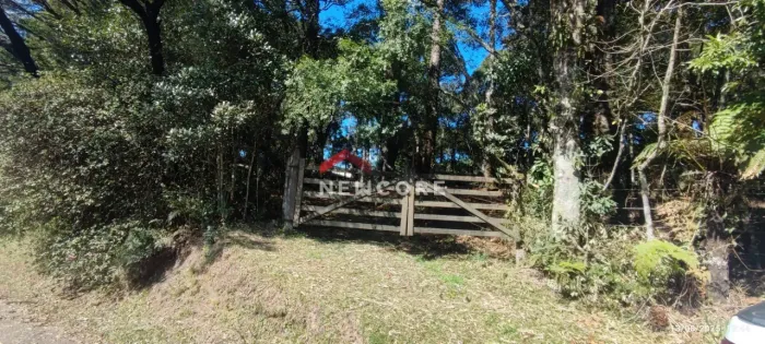 Lote em Rua da Bracatinga - Colinas - São Francisco de Paula/RS
