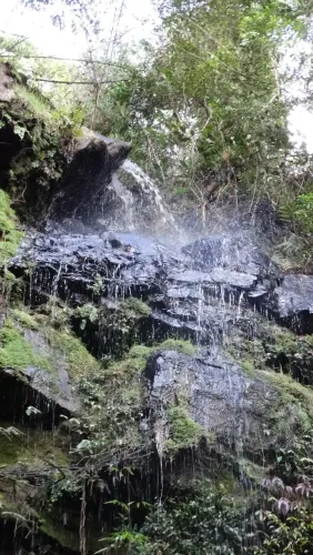 Sitio em Alfredo Wagner - Serra Catarinense- 50.000m²-com Cachoeira
