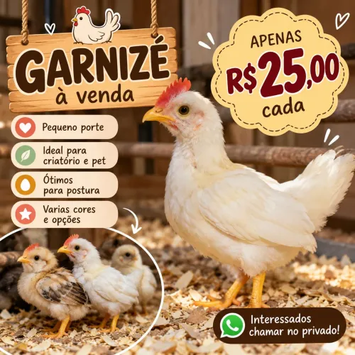 Garnizé pequeno