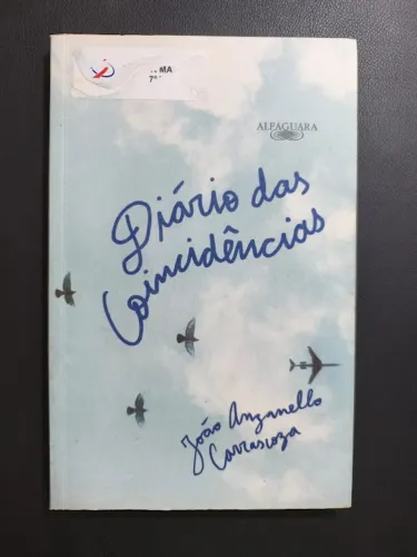 Livro Diário Das Coincidências