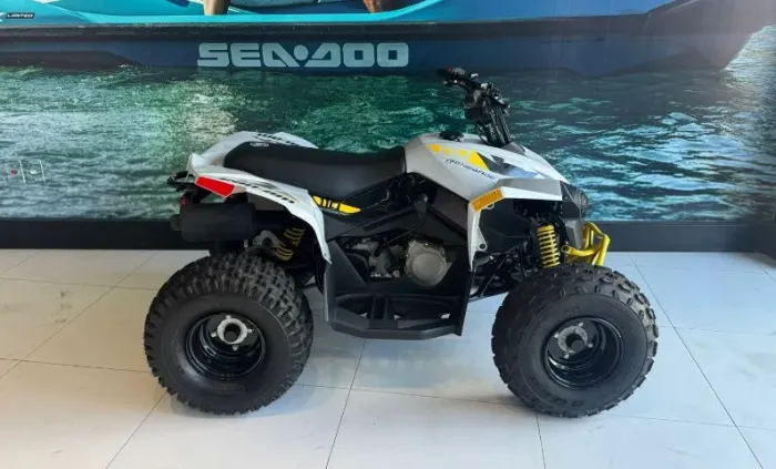 CanAm Renegade 110 - 2024