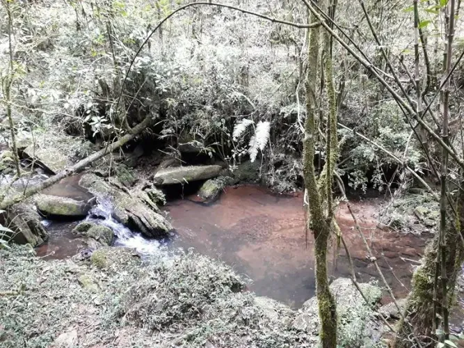 SÍTIO COM ÁGUA E MATA SEM BENFEITORIAS EM MARMELÓPOLIS - MG