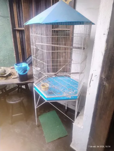 Vendo viveiro