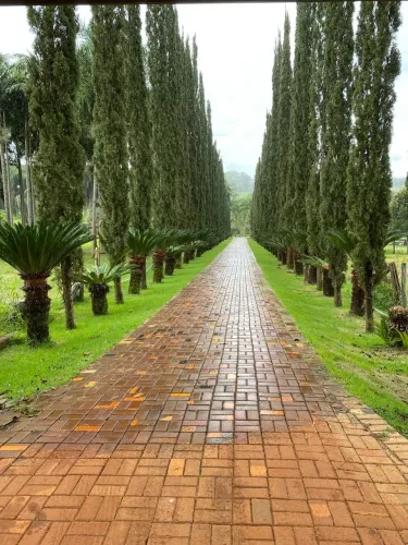 Chácara próximo a goiania  venda 4,85 hectares