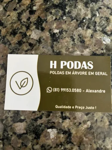 podas em árvores limpeza de tereno e remoção de entulhos 