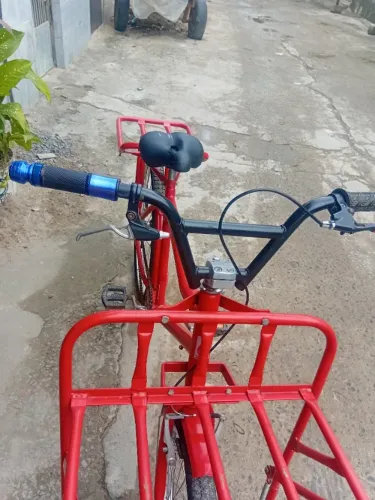 Bicicleta de carga
