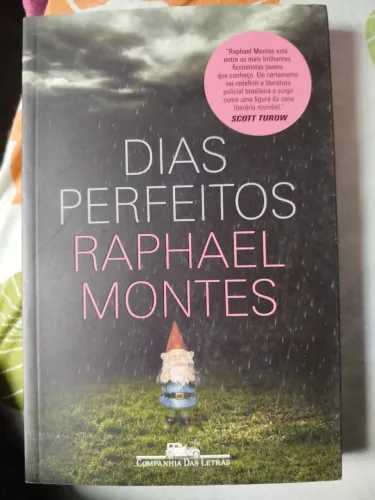 Livro Dias Perfeitos