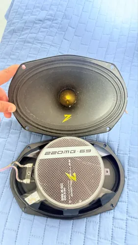 Par de 69 zetta 220 rms