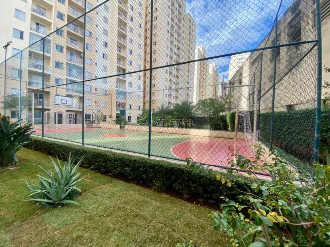 Apartamento a venda com 03 quartos no bairro Bonfim, Campinas