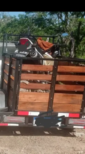 Vendo