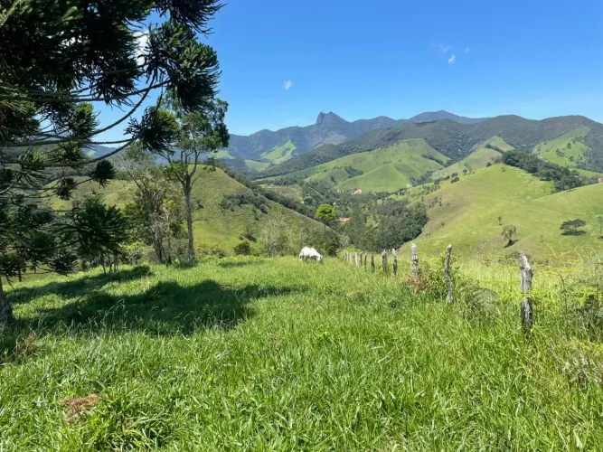 Sítio de 16 hectares em Mirantão - Bocaina de Minas - MG