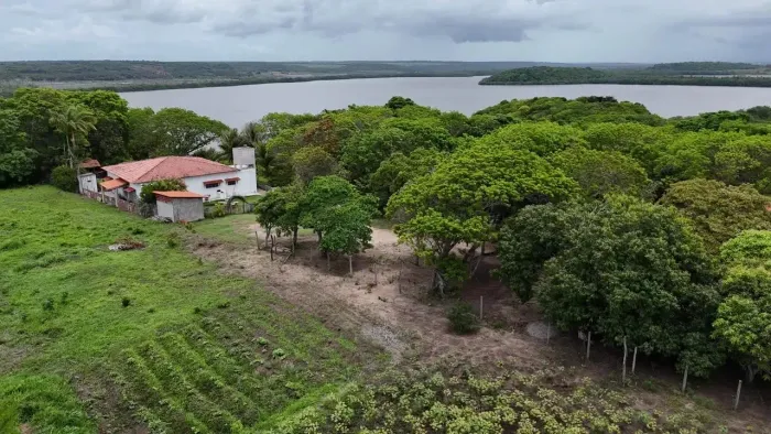 Granja Completa com 4 Hectares em Nísia Floresta/RN | Casa + Galinheiro | R$ 900 Mil