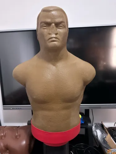 Boneco de Pancada Profissional 500reais de desconto