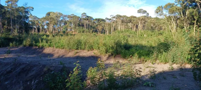 Excelente terreno em Agudos do Sul
