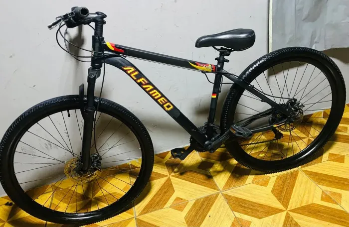 Bicicleta Aro 29 Alfameq