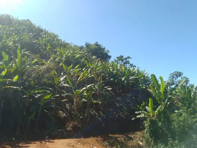 Chácara Viana 5000 mil metros quadrados 