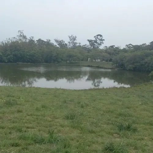 Área rural 40 hectares