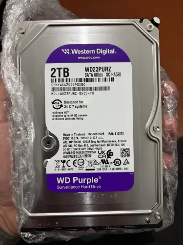Hd purple