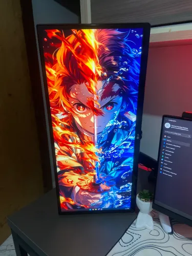 Monitor ultrawide LG 29?