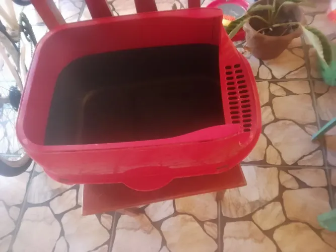 Caixa paravareia gato