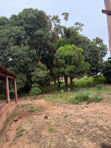 Vendo terreno no km 14 em Ulianopolis-PA