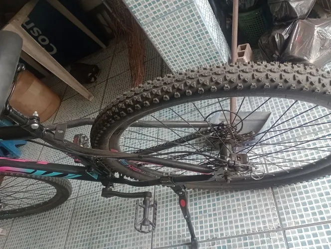 Bicicleta